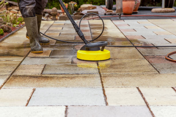 Best Sidewalk and Walkway Cleaning  in Romeo, MI